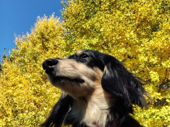 ゆずちゃん通信。お久しぶりです💓