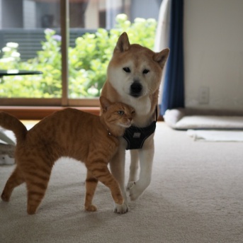 すりすり…