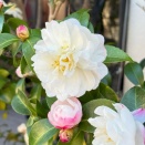 神様から愛される条件