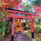 札幌紅葉図鑑 天神山稲荷神社と太平山三吉神社・平岸天満宮