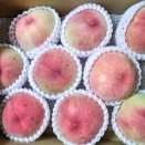 福島の桃がいっぱい！！