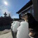 高い鼻‥うらやましいぞ👃