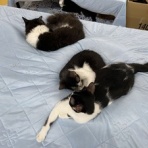 あさみ写真館