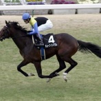 【動画】ディープインパクトの若駒Sの末脚がいくら何でもヤバすぎる件