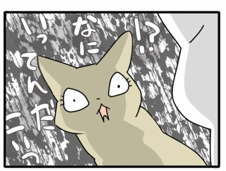 鋼の意思のコンクラーベ