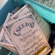 �����⤷�Ƥ��ʤ��ä�˴���ʤä����ФΤ���