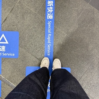 憧れのひとり旅デビューしました【近江八幡へ行ってきましたその①】とささみスティックで晩ごはん