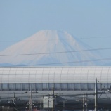 『新たな年こそコロナ禍からの脱出を』の画像