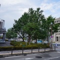 大阪市役所と日本銀行大阪支店（中之島）