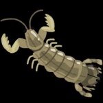 甲殻類のシャコ、Wi-Fi通信してたことが判明ｗｗｗ 	