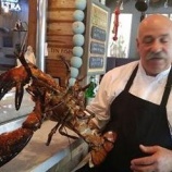 『ラリーという名のロブスター』の画像