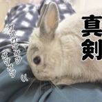 ブンチョ日誌