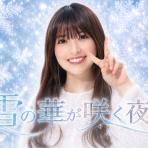 ないものねだりの本棚