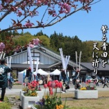 『第4回舞川桜まつり』の画像