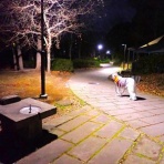 いんちょブログ