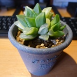 �إϥ���������٤β���