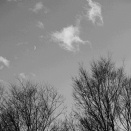 冬の三日月（モノクロ）