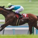 【競馬】安田記念を欠場！アドマイヤズームの今後の行方は？