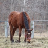 『ダイエット中』の画像