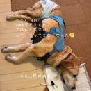 最近、お腹空きません？ 2026.6.15