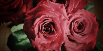 【馴れ初め】凄く綺麗な人（父の会社の関連会社の社長の娘）を紹介してもらい、俺と親同士が乗り気で結婚した。→もう毎日がバラ色で、妻の本心に気付かず脳天気に…