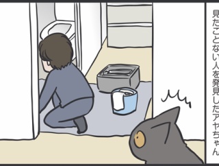 びっくりするぐらい猫の首が長かった