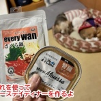 ガオだらけな日々　