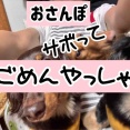 もしかしてあれが原因？