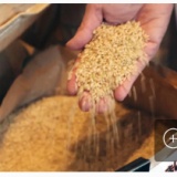 毎日新聞社説 高市新政権　米価高騰と農政　逆戻りでは安心得られぬ