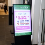 さえひろでいず