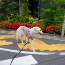 これからが本番と思っているよ