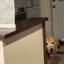 ？？わからんちん