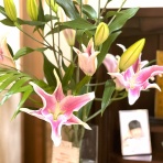 ビストロパパ　～パパ料理のススメ～