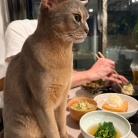 週末、冷蔵庫整理の豚こま丼の夜ごはん