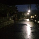 月260928  福島から梨