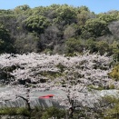 体のメンテナンスでスパへ