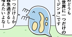魚の4コマ「世界に一つだけのミジンコ」