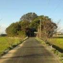 漂着した観音様を祀った　寄木神社　(静岡県袋井市(旧磐田郡浅羽町)中新田)
