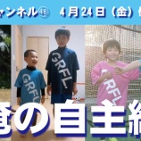 『シカチャンネル㊻』の画像