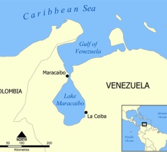 ベネズエラ。悪魔と狂気、その闇と絶望と…エドウィン・バレロの最期 ⑧