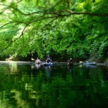 �ؿ��Фε����Х��̡��ĥ��� ��4/22���٤β���