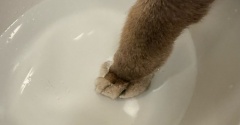 ぼくちん、俺手手入ってるよ…