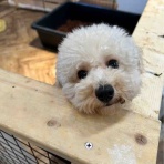 茅ヶ崎ふれあい動物園blog