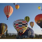 �ذ�ء�ʿ���Х롼��ե����ƥ��Х�2013 ���š٤β���