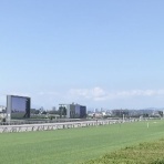 さておき競馬まとめ