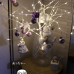 たかシェフのおうちごはん。と、白い犬。と、チワワ。