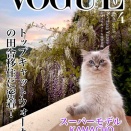 かまちょの独占インタビュー！