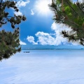 夏の青い湖
