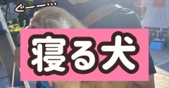 遠方より友来る。