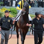 クロミちゃんの競馬日記